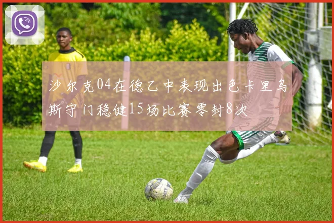 沙尔克04在德乙中表现出色卡里乌斯守门稳健15场比赛零封8次