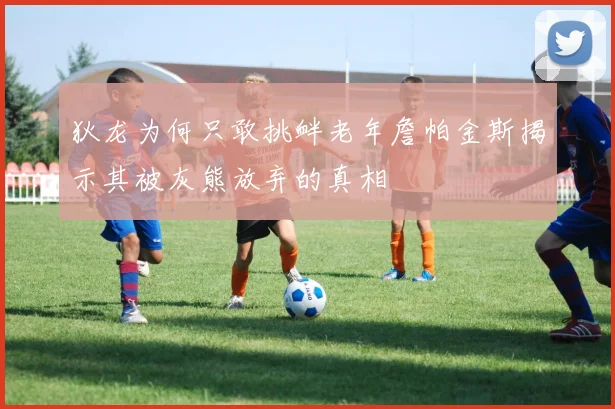 狄龙为何只敢挑衅老年詹帕金斯揭示其被灰熊放弃的真相