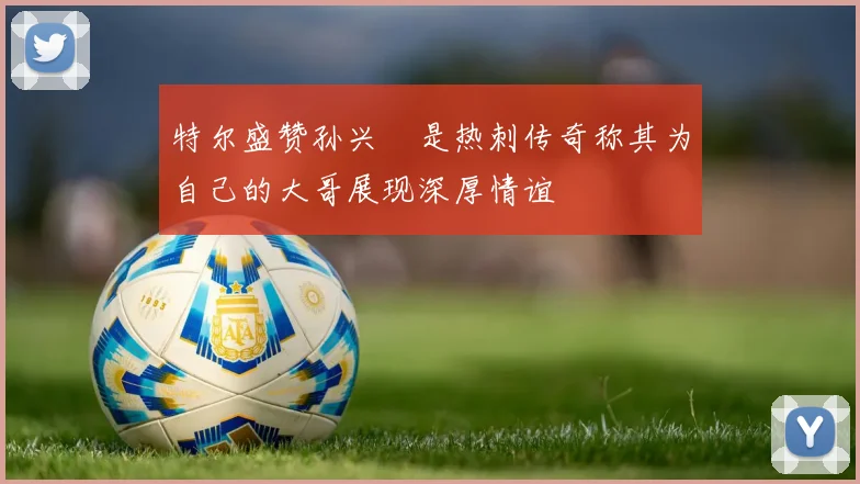 特尔盛赞孙兴慜是热刺传奇称其为自己的大哥展现深厚情谊