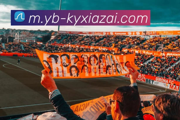 多媒体互动体验