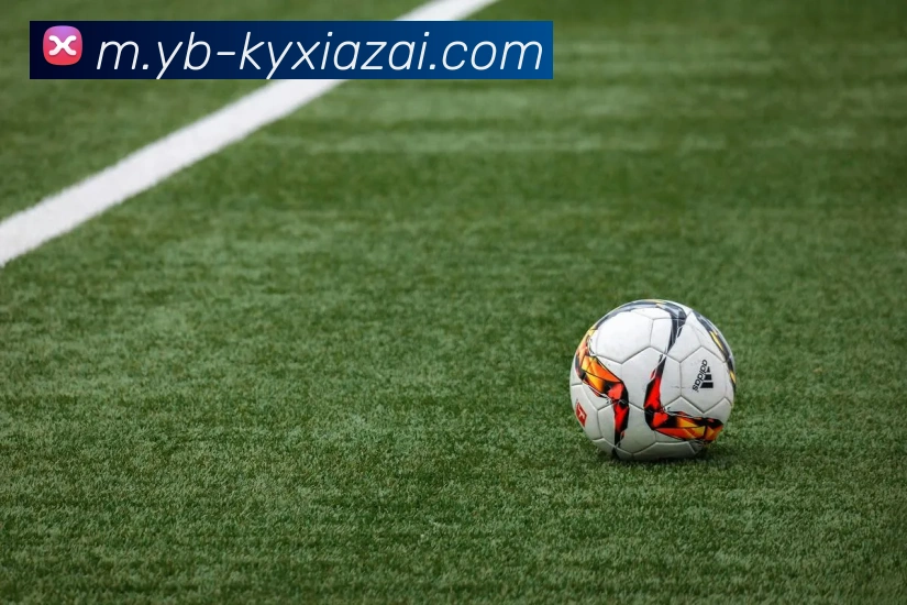 开云体育APP 体育赛事宣传图